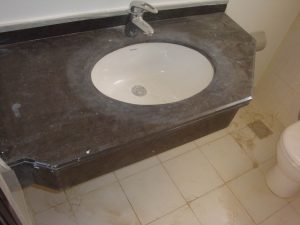 8- Triesta Grey Sink